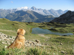 Savoie